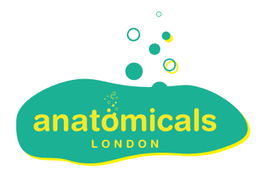 anatomicals London